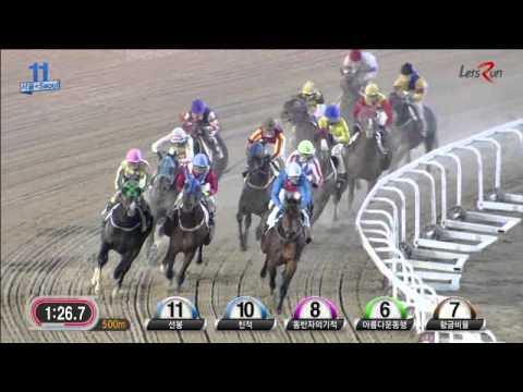 Winning Andy and Djordje Perovic, class 1  1800m  5.12.2015 Seoul