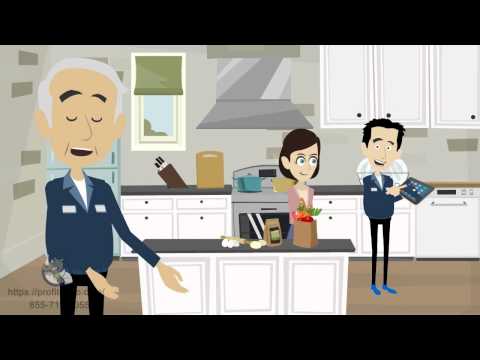 Explainer Video Sample - ProExplainer.com