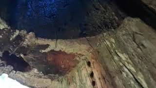 TUNEL SECOYA EN PARQUE YOSEMITE CALIFORNIA