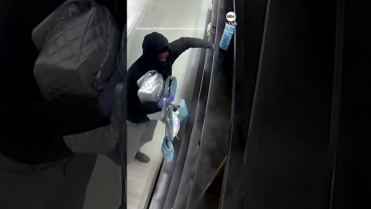 DC Police investigating Chanel robbery caught on camera
