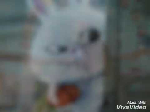 Melita guste bus gerai ?😂