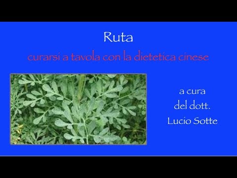 Di zucca olio di semi di impotenza Aumentare il video membro e la potenza