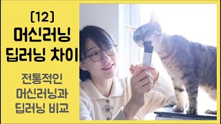 [12] 머신러닝 vs 딥러닝 비교 - 전통적인 머신러닝과 딥러닝 차이점 4가지