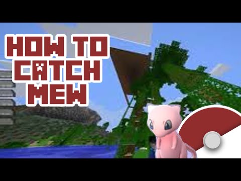 How to Catch MEW in Pixelmon!