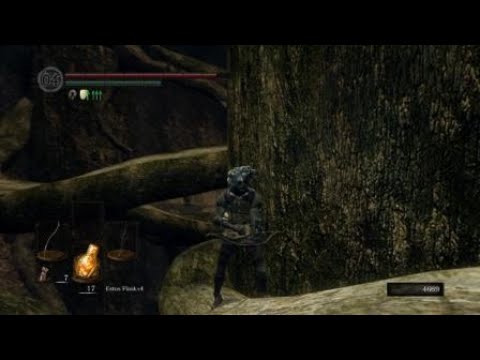 DARK SOULS™: REMASTERED_Hunter finds 10th Crystal lizard in The Great Hollow