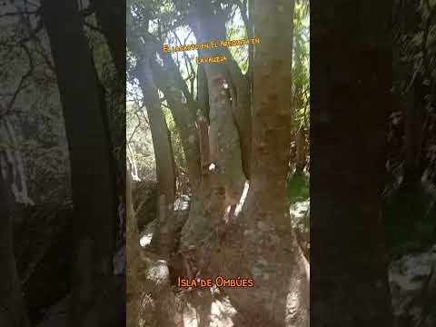 Arequita en Lavalleja