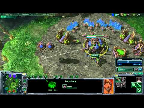 7   Nestea vs Baker ZvP