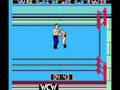 NES WCW World Championship Wrestling Single Road Warrior Hawk Two Match Sampler