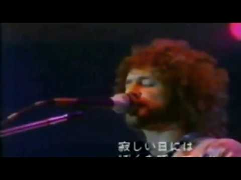 Videoclip de Go Your Own Way (Live) — Fleetwood Mac