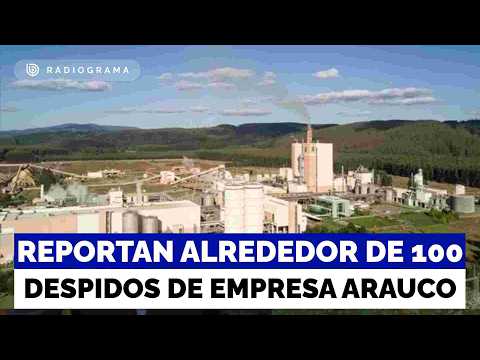 Reportan alrededor de 100 despidos en diferentes áreas de empresa Arauco