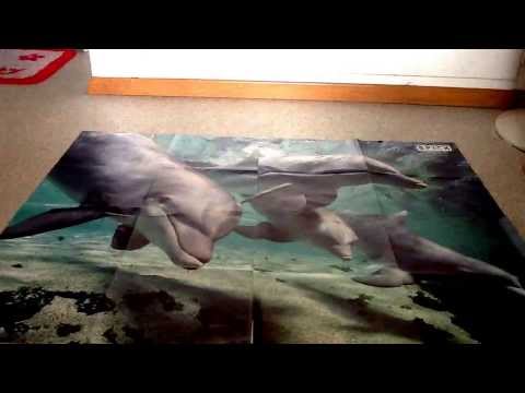 download lagu mp3 mp4 Delfin Poster, download lagu Delfin Poster gratis, unduh video klip Delfin Poster