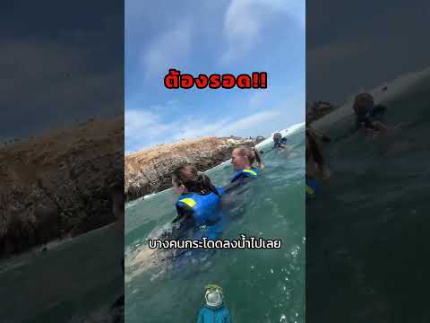 วันอะไรกันเนี่ย โกลาหลกันสุดๆ 😮‍💨🦖🔥