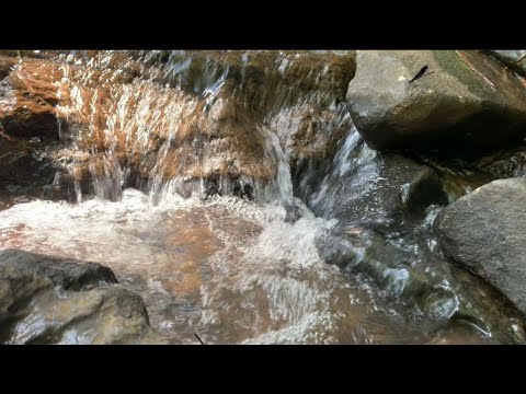 4K HDR Autumn Cascades - Forest Stream - Water Flowing Sounds - Natural White Noise - Sleep / Relax