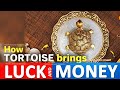 Bring Good Luck Wealth By Placing Tortoise Right Directions To Place Tortoise Vastu Feng Shui