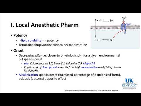 University of Kentucky Anesthesiology Pharmacology Keyword Review 2018 Part 1 of 3 - (Dr. Schell)
