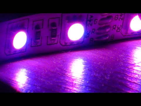 Freaks like to move it x Calabria (mixed)