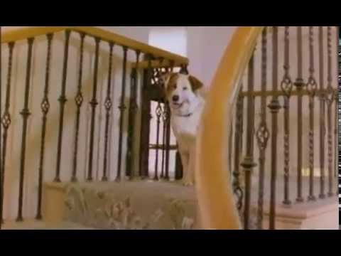 LITTLE HEROES - trailer