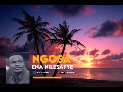 Ngosa - Ena Nilesafye (Official Audio Visualizer)