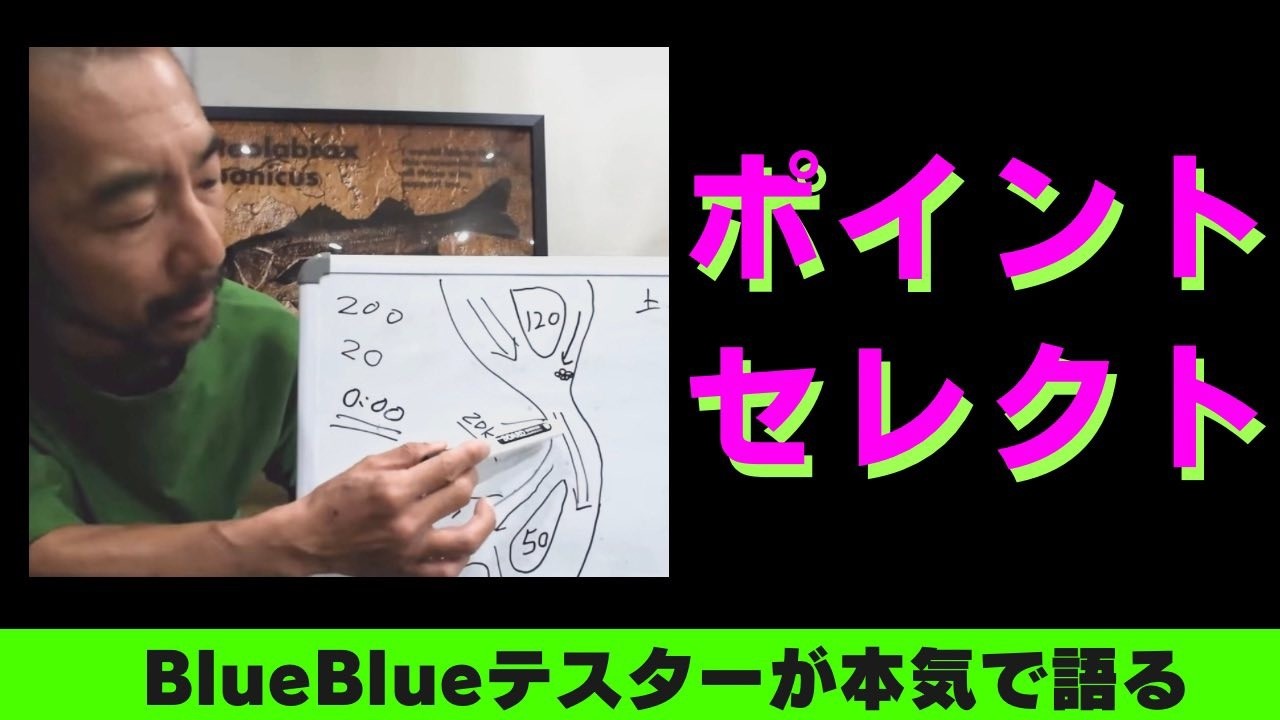 【シーバス】BlueBlueテスターポイントの選び方【質問に答える】　シーバスルアーBlueBlueロッドリールライン
