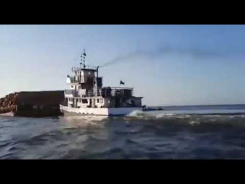 Extração ilegal de mandeira na Amazônia