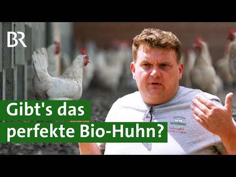 , title : 'Hochleistungs-Legehennen: Die Suche nach dem perfekten Bio Huhn | Unser Land | BR'