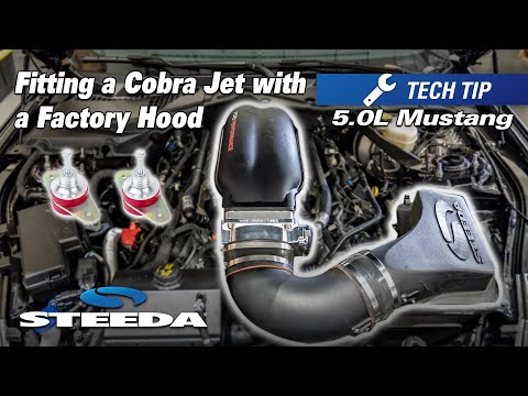 What You Need to Fit a NEW Ford Performance Cobra Jet Intake With Your Factory Hood