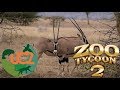 Oryx Gets An Oryx Geraldton Animal Park 4 UCZ