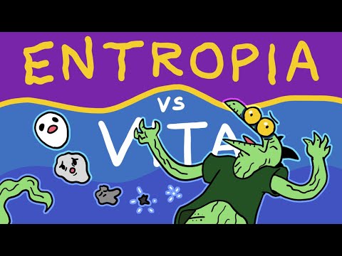 Evolution is against physics (and women too)