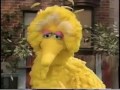 Sesame Street Episode 3860 FULL Original PBS Broadcast
