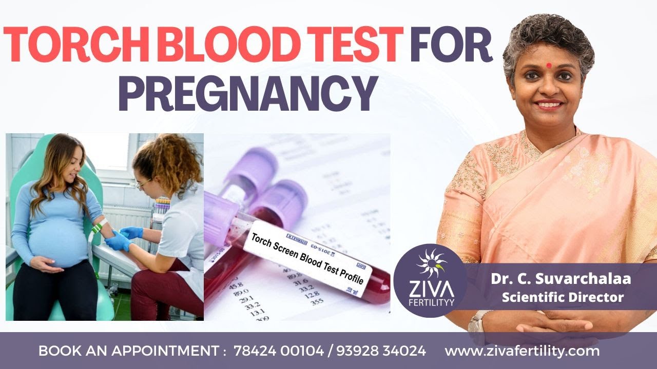 TORCH Blood Test For Pregnancy || Screening Tests For Fertility || Dr C Suvarchalaa