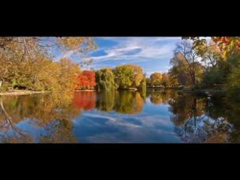 Thu mơ Sheet - Hương Giang