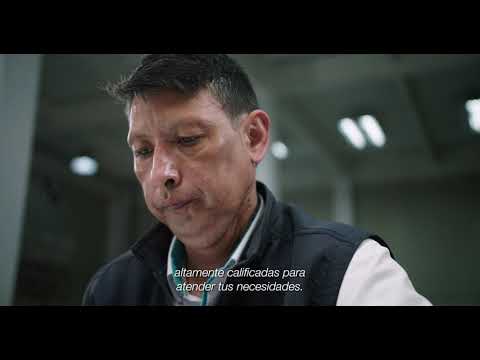 File Storage | ¿Quiénes Somos? | Fresh Cut Films