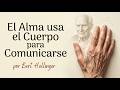 Constelando La Enfermedad Bert Hellinger Y Brigitte Champetier