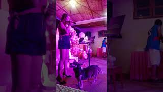 Yesterday when i was young