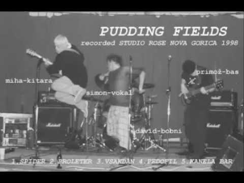 Pudding Fields demo album (1998)
