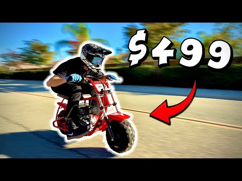 The Fastest Budget Mini Bike