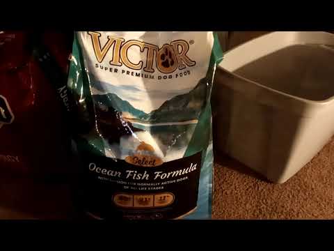 🔥🔥🔥new victor dog food ocean fish formula review🔥🔥🔥