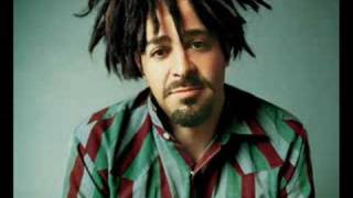 The Himalayans / Counting Crows Diamonds Babies and Cars