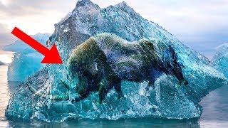Most MYSTERIOUS Facts About The ICE AGE!