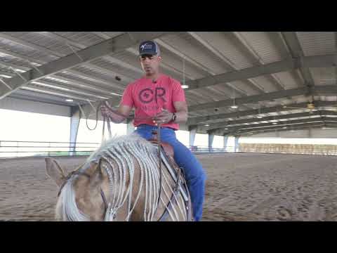 HOW TO CORRECT A HORSE THAT PIVOTS ON THE WRONG FOOT IN THE SPIN