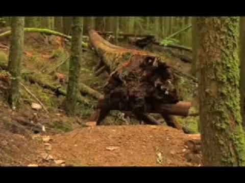 Ryan Leech in Kranked 6 Progression