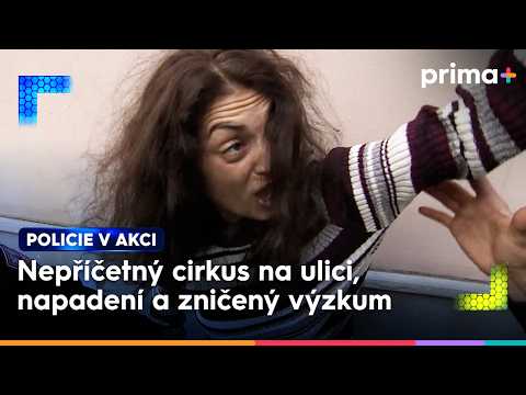 Opilá žena podrápala a pokousala mladý pár | Policie v akci