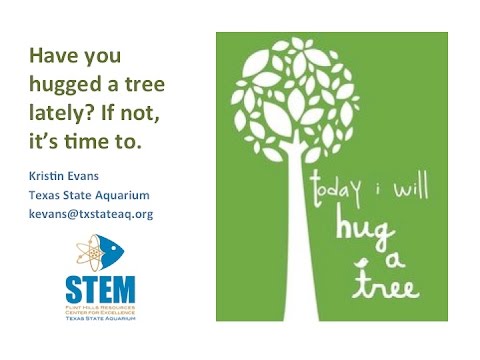 NMEA15 Lightning Talk - Kristin Evans - with slides