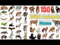 Wild Animals Vocabulary ll 150 Wild Animals Names In English With Pictures ll Jungle Animals Name