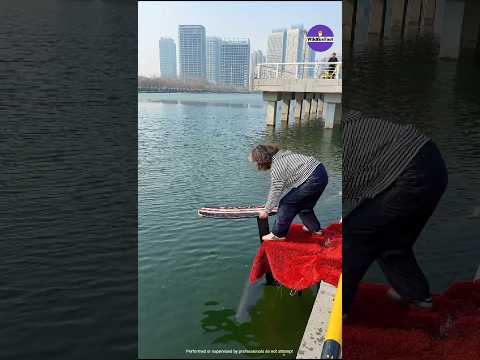 The Rider Falls While Riding It #shorts #ytshorts