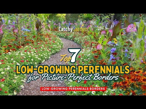 , title : '7 Best Low-Growing Perennials for Picture-Perfect Borders! 🌷🍃👍 // Gardening Ideas'
