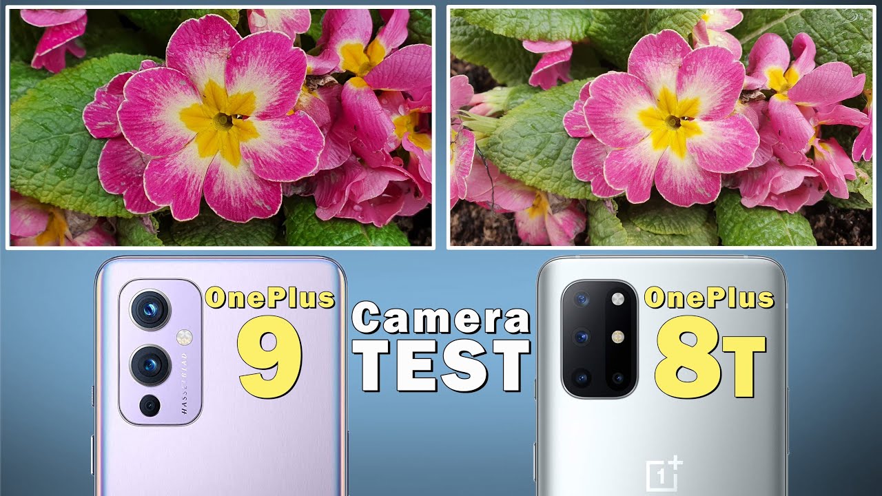 OnePlus 9 vs OnePlus 8T Camera Comparison