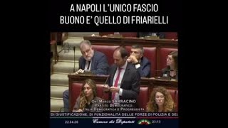 Remigrazione, Sarracino (Pd) alla Camera: «A Napoli l'unico fascio buono è quello di friarielli»