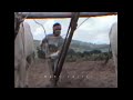 Nuvvosthanante Nenodhantaana Movie Whatsappstatus Telugu Ghal Ghal Song Whatsappstatus Telugu