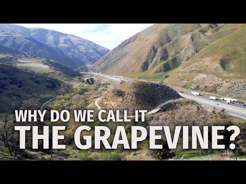 Grapevine Ca I5